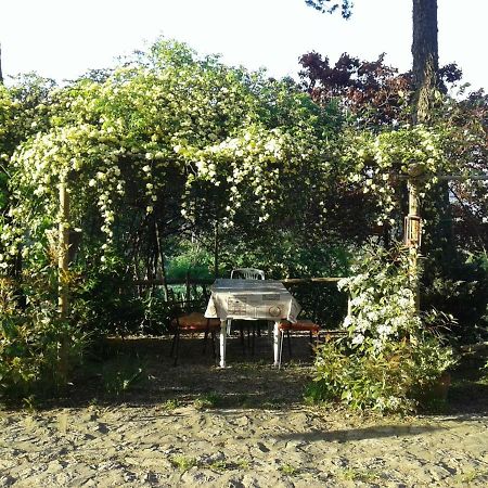 B&B Della RosaCivitella D'Arna エクステリア 写真