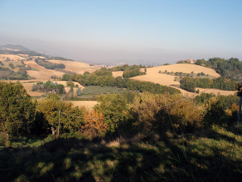 B&B Della RosaCivitella D'Arna エクステリア 写真