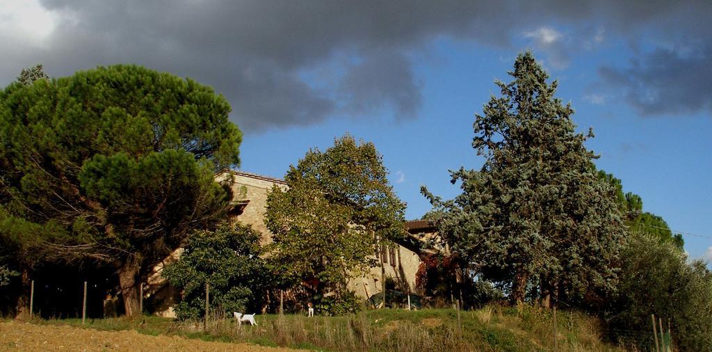 B&B Della RosaCivitella D'Arna エクステリア 写真