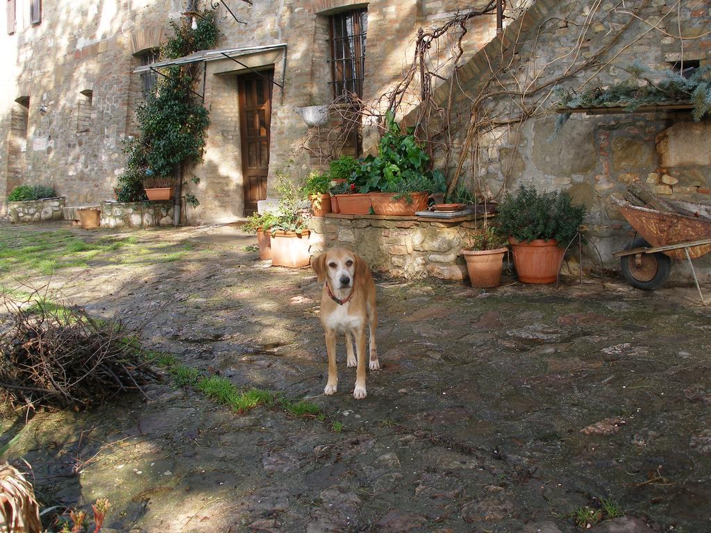 B&B Della RosaCivitella D'Arna エクステリア 写真