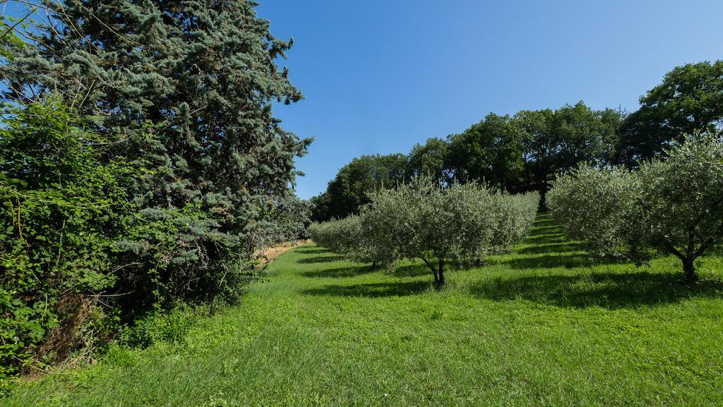 B&B Della RosaCivitella D'Arna エクステリア 写真