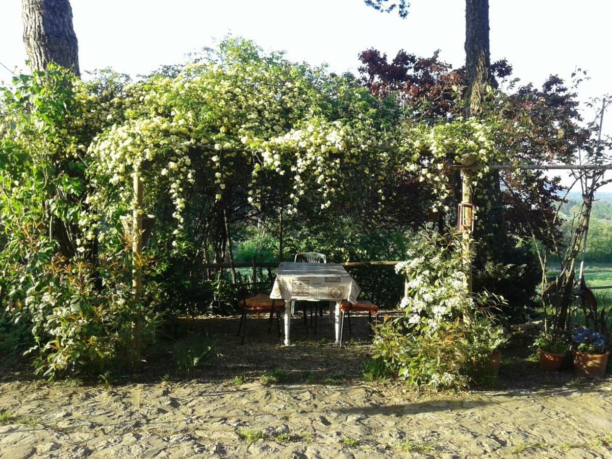 B&B Della RosaCivitella D'Arna エクステリア 写真